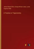A Treatise on Trigonometry di James Edward Oliver, George William Jones, Lucien Augustus Wait edito da Outlook Verlag