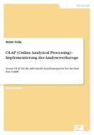 OLAP (Online Analytical Processing) - Implementierung des Analysewerkzeugs di Arsen Cvija edito da Diplom.de