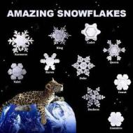 Amazing Snowflakes di Richard Matevosyan, Naira Matevosyan edito da Createspace