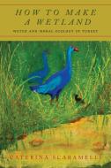 How to Make a Wetland: Water and Moral Ecology in Turkey di Caterina Scaramelli edito da STANFORD UNIV PR