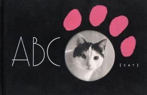 Abc Cat di Lorenz Kienzle edito da Stewart, Tabori & Chang Inc