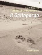 Study Guide to Tomasi Di Lampedusa's Il Gattopardo di Brian Cainen edito da Troubador Publishing Ltd