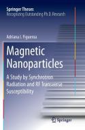 Magnetic Nanoparticles di Adriana I. Figueroa edito da Springer International Publishing