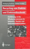 Recycling von Elektro- und Elektronikschrott di Walter Fichtler, Wolfgang Koellner edito da Springer Berlin Heidelberg