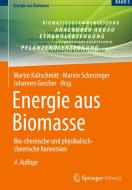 Energie aus Biomasse edito da Springer-Verlag GmbH