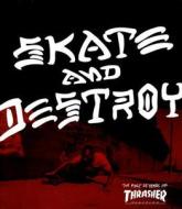 Skate and Destroy: The First 25 Years of Thrasher Magazine edito da Universe Publishing(NY)
