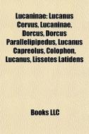 Lucaninae: Lucanus Cervus, Lucaninae, Do di Books Llc edito da Books LLC