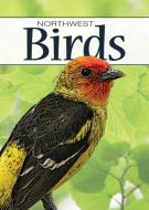Birds of the Northwest Playing Cards di Stan Tekiela edito da Adventure Publications