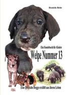 Welpe Nummer 13  Ein Hundekind erzählt aus seinem Leben Die Geschichte einer Deutschen Dogge di Daniela Behr edito da Books on Demand