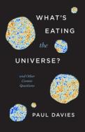WHAT S EATING THE UNIVERSE 8211 AND di Paul Davies edito da CHICAGO UNIVERSITY PRESS