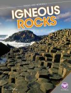 Igneous Rocks di Lisa Owings edito da CORE LIB