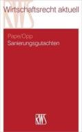 Sanierungsgutachten di Maximilian Pape, Julian Opp edito da RWS Verlag