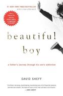 Beautiful Boy: A Father's Journey Through His Son's Addiction di David Sheff edito da HOUGHTON MIFFLIN