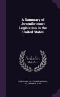 A Summary Of Juvenile-court Legislation In The United States di Sophonisba Preston Breckinridge, Helen Rankin Jeter edito da Palala Press