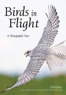 Birds In Flight di Rob Palmer edito da Amherst Media