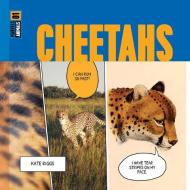 Cheetahs di Kate Riggs edito da CREATIVE ED & PAPERBACKS
