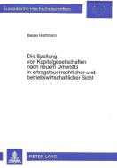 Die Spaltung von Kapitalgesellschaften nach neuem UmwStG in ertragsteuerrechtlicher und betriebswirtschaftlicher Sicht di Beate Hartmann edito da Lang, Peter GmbH