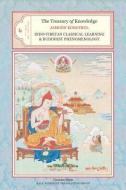 The Treasury of Knowledge, Book Six, Parts One and Two: Indo-Tibetan Classical Learning and Buddhist Phenomenology di Jamgon Kongtrul Lodro Taye edito da SNOW LION PUBN