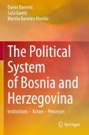 The Political System of Bosnia and Herzegovina di Damir Banovic, Mariña Barreiro Mariño, Sasa Gavric edito da Springer International Publishing