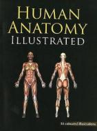 Human Anatomy Illustrated di B. Jain, B. Jain Publishers edito da B Jain Publishers Pvt Ltd
