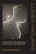 Lumen Naturae: Visions of the Abstract in Art and Mathematics di Matilde Marcolli edito da MIT PR