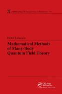Mathematical Methods of Many-Body Quantum Field Theory di Detlef (TU Berlin FB Mathematik Lehmann edito da Taylor & Francis Ltd