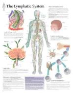 Lymphatic System Laminated Poster di Scientific Publishing edito da Scientific Publishing Limited