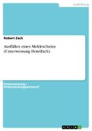Ausfullen Eines Meldescheins (Unterweisung Hotelfach) di Robert Zach edito da Grin Verlag