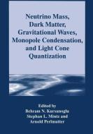 Neutrino Mass, Dark Matter, Gravitational Waves, Monopole Condensation, and Light Cone Quantization edito da Springer US