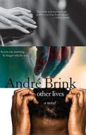 Other Lives di Andre Brink edito da Sourcebooks Landmark