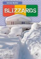 Blizzards di Martha London edito da DISCOVERROO