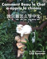 Comment Beau le Chat a appris le chinois di Lily Summer edito da Regent Press