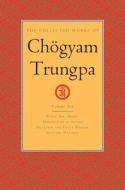 The Collected Works of Choegyam Trungpa, Volume 10 di Chogyam Trungpa, Carolyn Rose Gimian edito da Shambhala Publications Inc