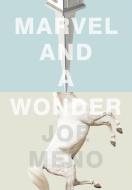 Marvel and a Wonder di Joe Meno edito da AKASHIC BOOKS