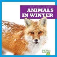 Animals in Winter di Jennifer Fretland VanVoorst edito da JUMP