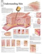 Understanding Skin Paper Poster di Scientific Publishing edito da Scientific Publishing Limited