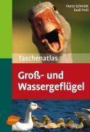 Taschenatlas Groß- und Wassergeflügel di Horst Schmidt, Rudi Proll edito da Ulmer Eugen Verlag