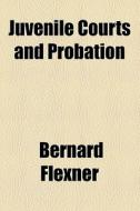 Juvenile Courts And Probation di Bernard Flexner edito da General Books Llc