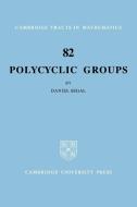 Polycyclic Groups di Daniel Segal edito da Cambridge University Press