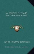 A Middle Class: And Other Sermons (1881) di John Thomas Jeffcock edito da Kessinger Publishing