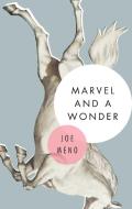 Marvel And A Wonder di Joe Meno edito da Akashic Books