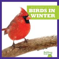 Birds in Winter di Jennifer Fretland VanVoorst edito da JUMP
