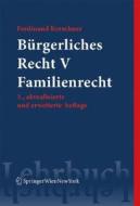 Burgerliches Recht V. Familienrecht di Ferdinand Kerschner edito da Springer
