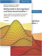 Mathematik in den Ingenieur- und Naturwissenschaften di Rainer Ansorge, Hans J. Oberle, Kai Rothe, Thomas Sonar edito da Wiley VCH Verlag GmbH