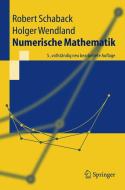 Numerische Mathematik di Robert Schaback, Holger Wendland edito da Springer Berlin Heidelberg