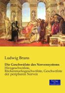 Die Geschwülste des Nervensystems di Ludwig Bruns edito da Verlag der Wissenschaften