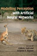 Modelling Perception with Artificial Neural             Networks edito da Cambridge University Press