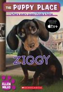 Ziggy di Ellen Miles edito da Scholastic Paperbacks