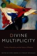 Divine Multiplicity edito da Fordham University Press