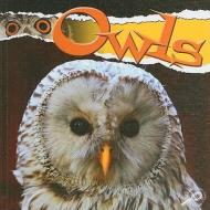Owls di Julie K. Lundgren edito da Rourke Publishing (FL)